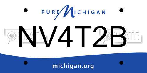 NV4T2B Michigan License Plate