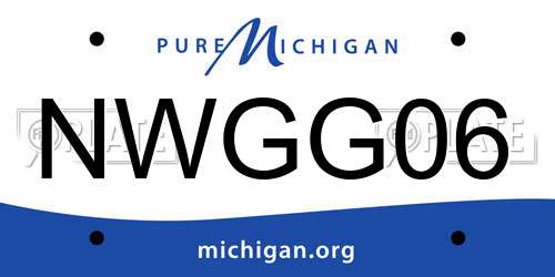NWGG06 Michigan License Plate