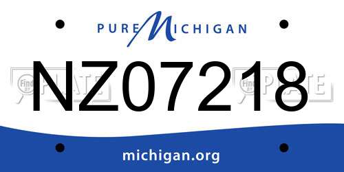 NZ07218 Michigan License Plate