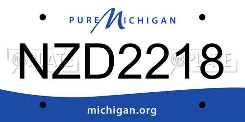 NZD2218 Michigan License Plate