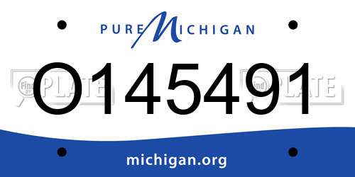 O145491 Michigan License Plate