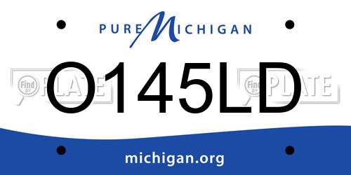 O145LD Michigan License Plate
