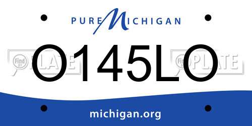 O145LO Michigan License Plate