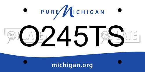 O245TS Michigan License Plate