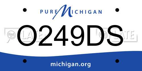 O249DS Michigan License Plate