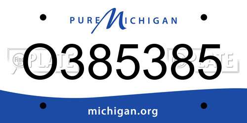 O385385 Michigan License Plate