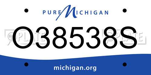 O38538S Michigan License Plate