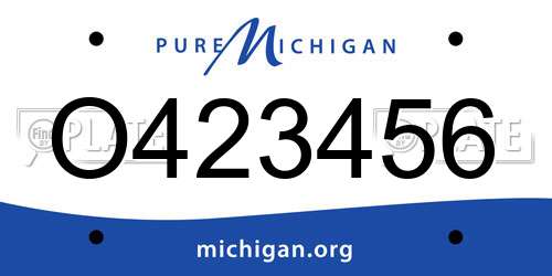 O423456 Michigan License Plate