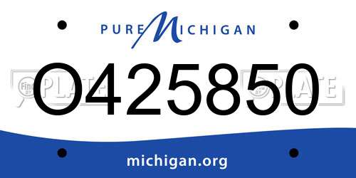 O425850 Michigan License Plate