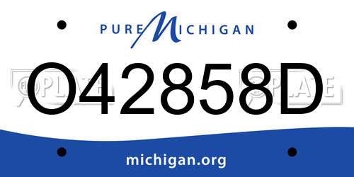 O42858D Michigan License Plate