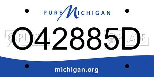 O42885D Michigan License Plate