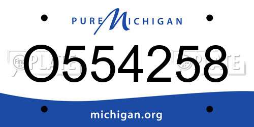 O554258 Michigan License Plate