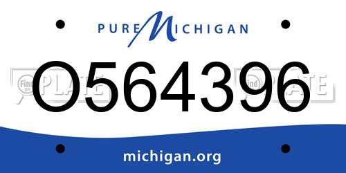 O564396 Michigan License Plate