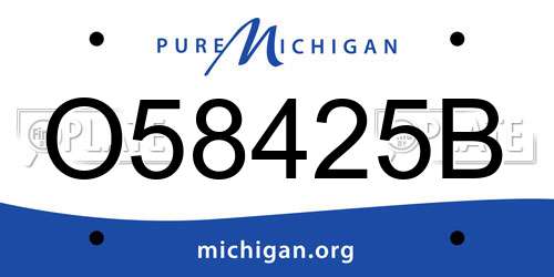 O58425B Michigan License Plate
