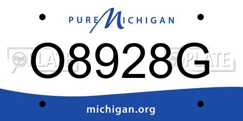O8928G Michigan License Plate