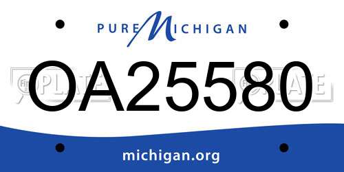 OA25580 Michigan License Plate
