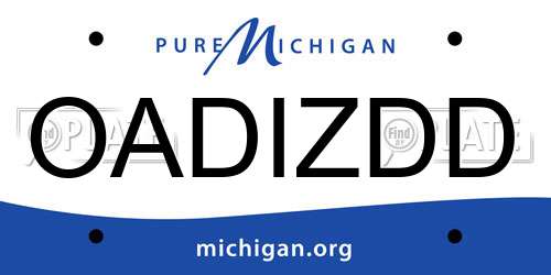 OADIZDD Michigan License Plate