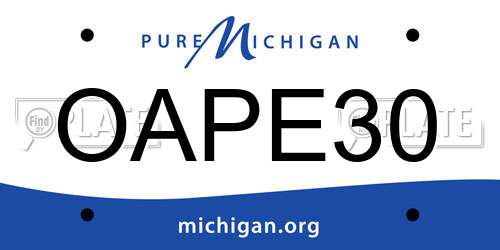 OAPE30 Michigan License Plate