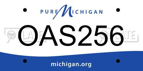 OAS256 Michigan License Plate