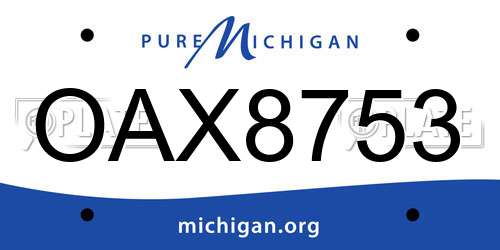 OAX8753 Michigan License Plate