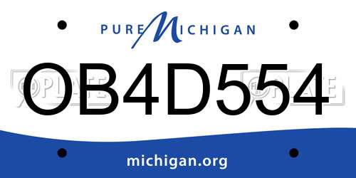 OB4D554 Michigan License Plate