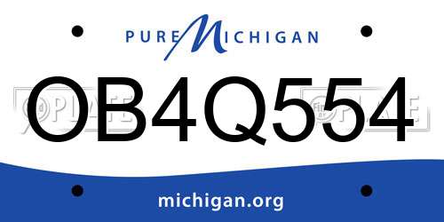 OB4Q554 Michigan License Plate