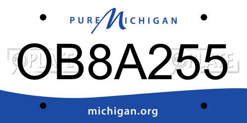 OB8A255 Michigan License Plate
