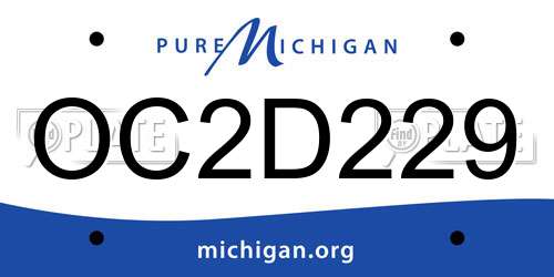 OC2D229 Michigan License Plate