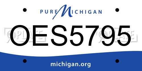 OES5795 Michigan License Plate