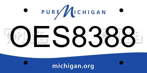 OES8388 Michigan License Plate