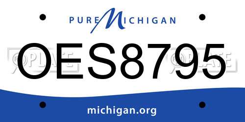 OES8795 Michigan License Plate
