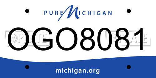 OGO8081 Michigan License Plate