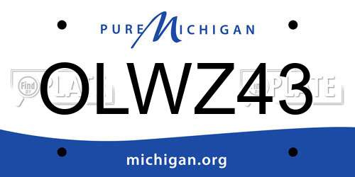 OLWZ43 Michigan License Plate