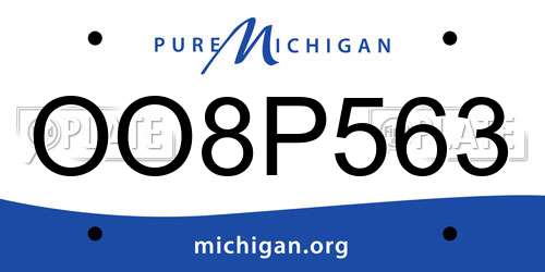 OO8P563 Michigan License Plate