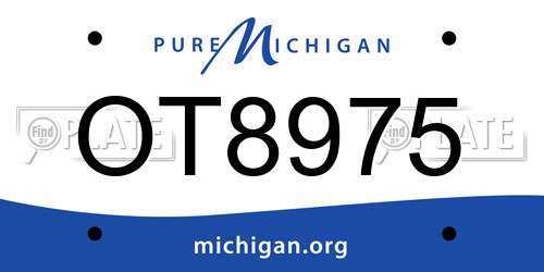 OT8975 Michigan License Plate
