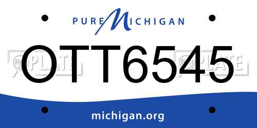 OTT6545 Michigan License Plate