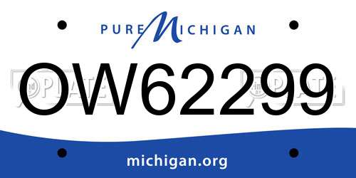 OW62299 Michigan License Plate