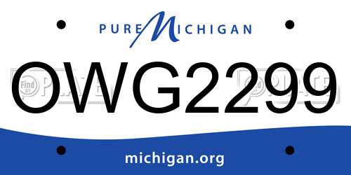 OWG2299 Michigan License Plate