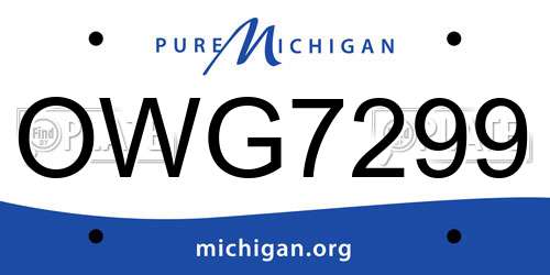OWG7299 Michigan License Plate