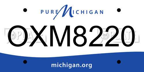 OXM8220 Michigan License Plate