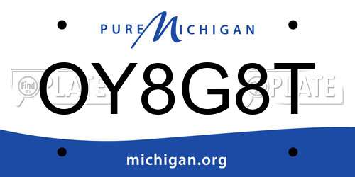 OY8G8T Michigan License Plate