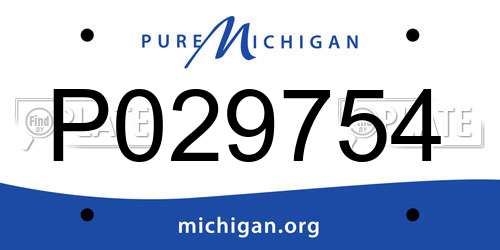 P029754 Michigan License Plate