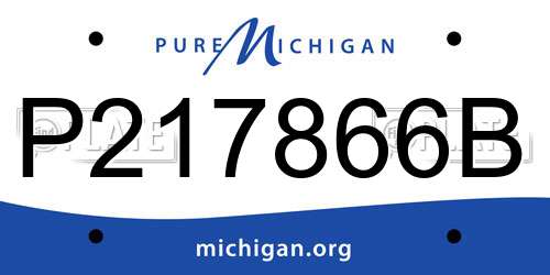 P217866B Michigan License Plate