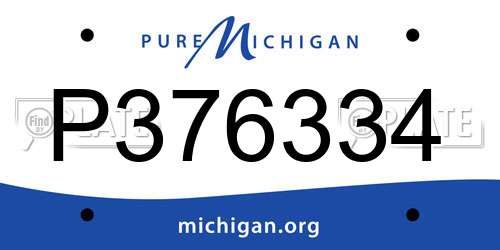 P376334 Michigan License Plate