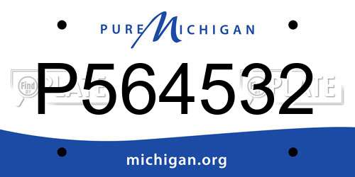 P564532 Michigan License Plate