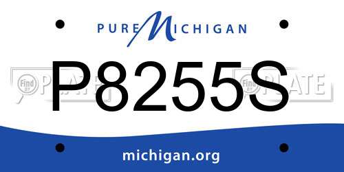 P8255S Michigan License Plate