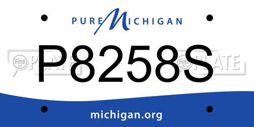 P8258S Michigan License Plate