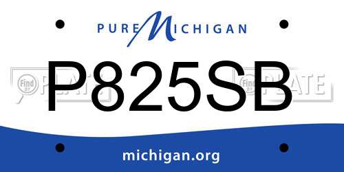P825SB Michigan License Plate
