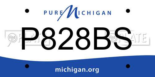 P828BS Michigan License Plate