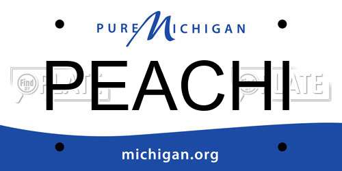 PEACHI Michigan License Plate